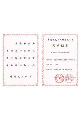 2008年煤泥循環脫硫灰改性及綜合利用研究獲二等獎